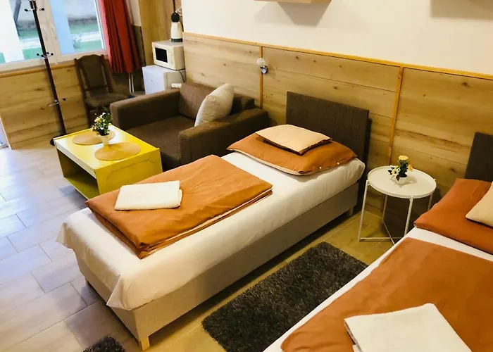 Guest house Melania Vendeghaz 3*